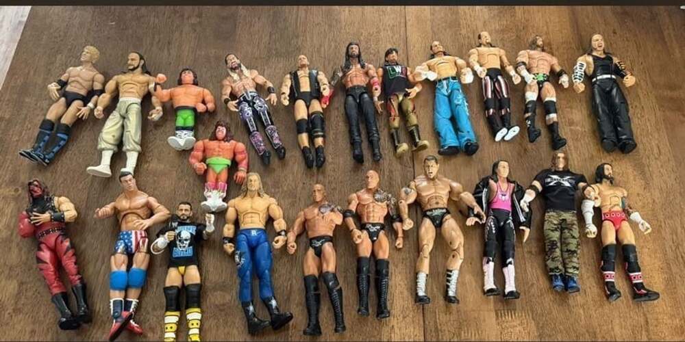 WWE Wrestling Action Figure Collection Lot of 22 Figures